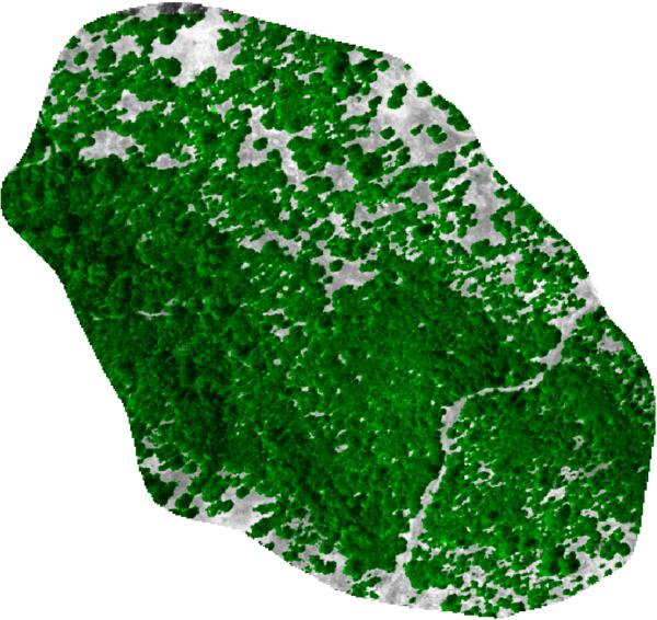 Estimated Canopy Cover: estimated from NAIP imagery, by SMAP supervised classification.