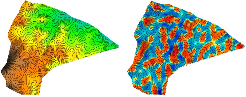 Elevation surface (left) and resulting mean curvature estimate (right)