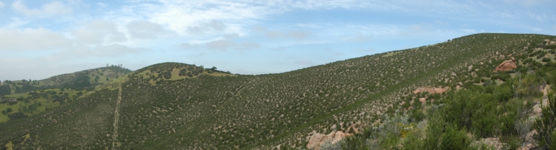 pinn-pygmy-panorama-crop.jpg